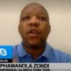 Prof Zondi