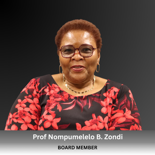 Prof Nompumelelo B. Zondi